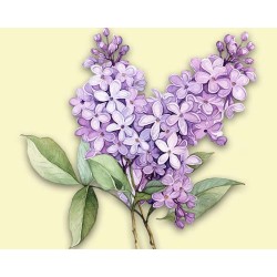 "Сирень" салфетки бумажные для декупажа